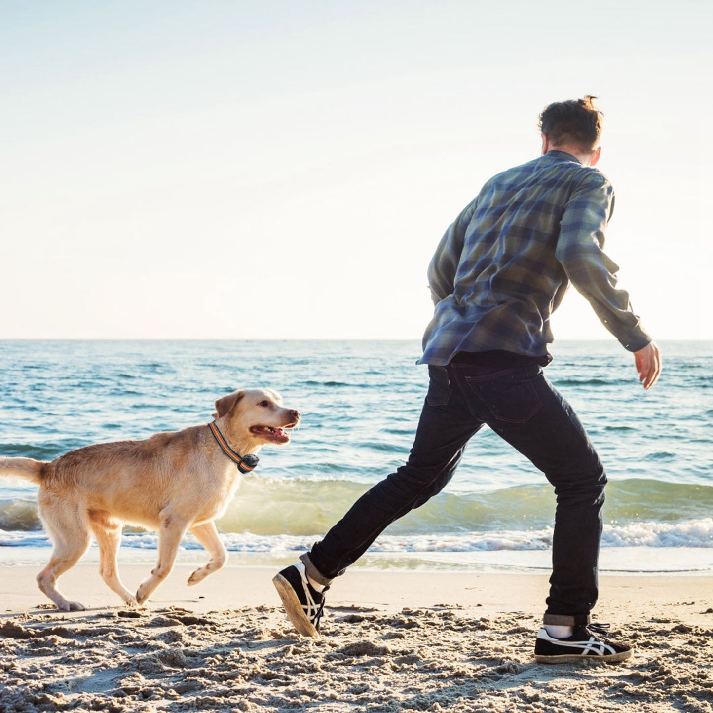 2 In 1 Dog GPS Fence Tracker Wireless GPS Dog Fence GPS Dog Collar With 32-2887FT Radius IPX6 Waterproof For Small Medium Large Dogs - DropOnline.co