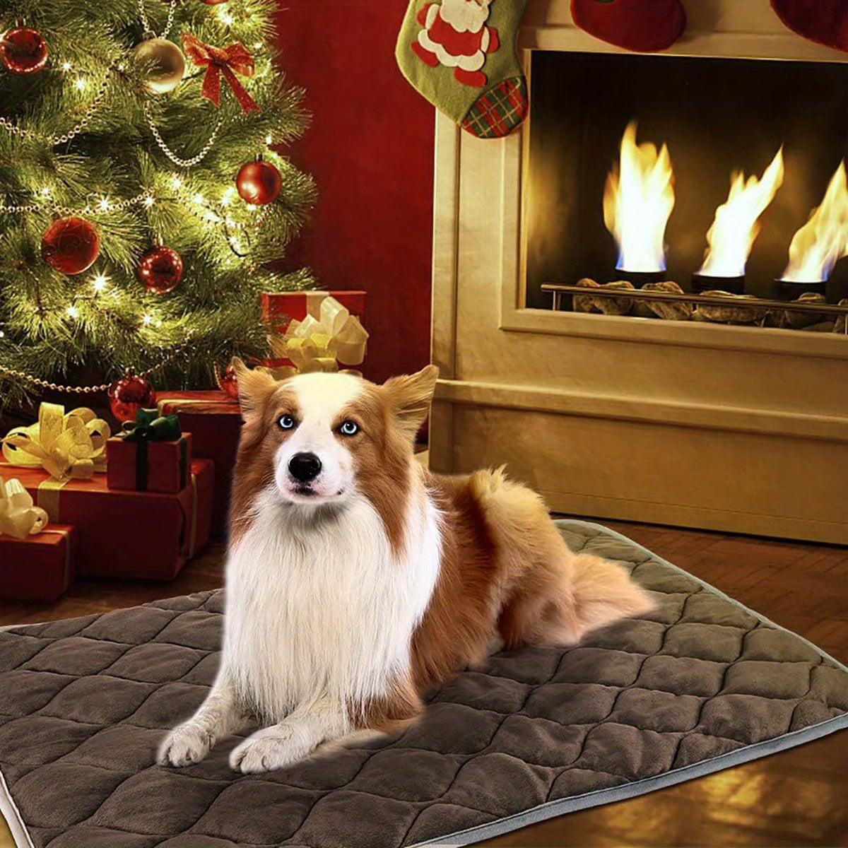 Dog Cat Bed, Cat Dog Non-Slip Mat, Extra Warm Thermal Pet Pad  Self-Heating Cat Mat Warm Thermal Pet Pad Washable Dog Crate Pad Heat Dog Cat Bed Mat Blanket Non-Slip Bottom For Outdoor And Indoor Pets - DropOnline.co