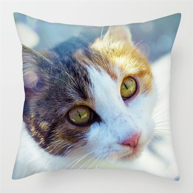 Hairless Pillowcase Home Sofa Cushion Cover - Smooth Decorative Throw Pillow Case - DropOnline.co