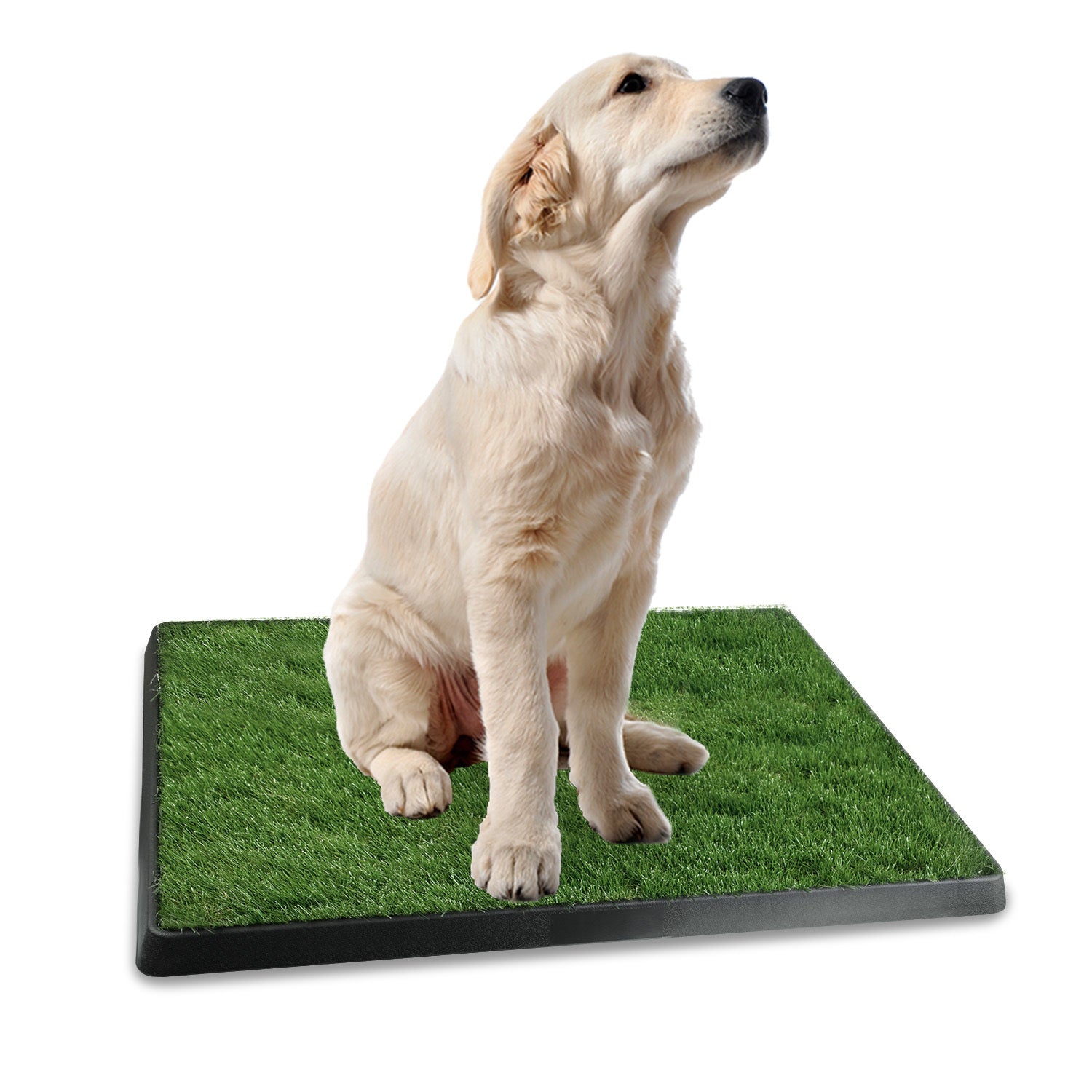 1Pc Dog Potty Training Artificial Grass Pad Pet Cat Toilet Trainer Mat Puppy Loo Tray Turf For Small Medium Dogs Indoor Outdoor Use - DropOnline.co