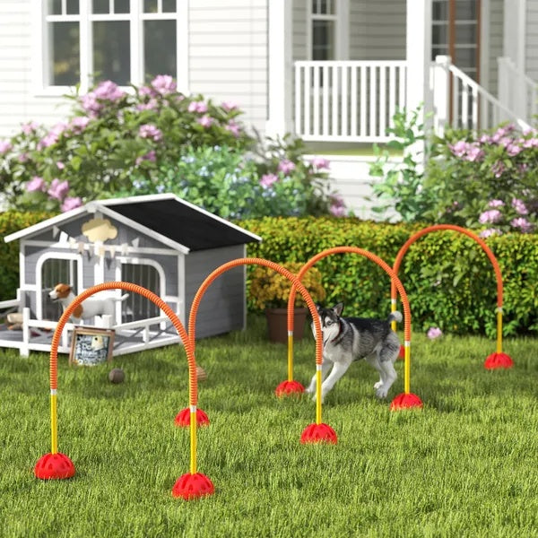 4 Piece Dog Agility Course Backyard Set , Carry Bag - DropOnline.co