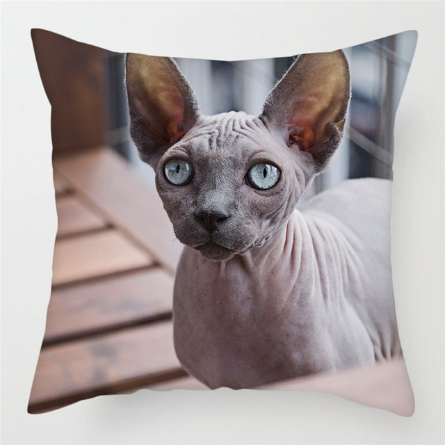 Hairless Pillowcase Home Sofa Cushion Cover - Smooth Decorative Throw Pillow Case - DropOnline.co
