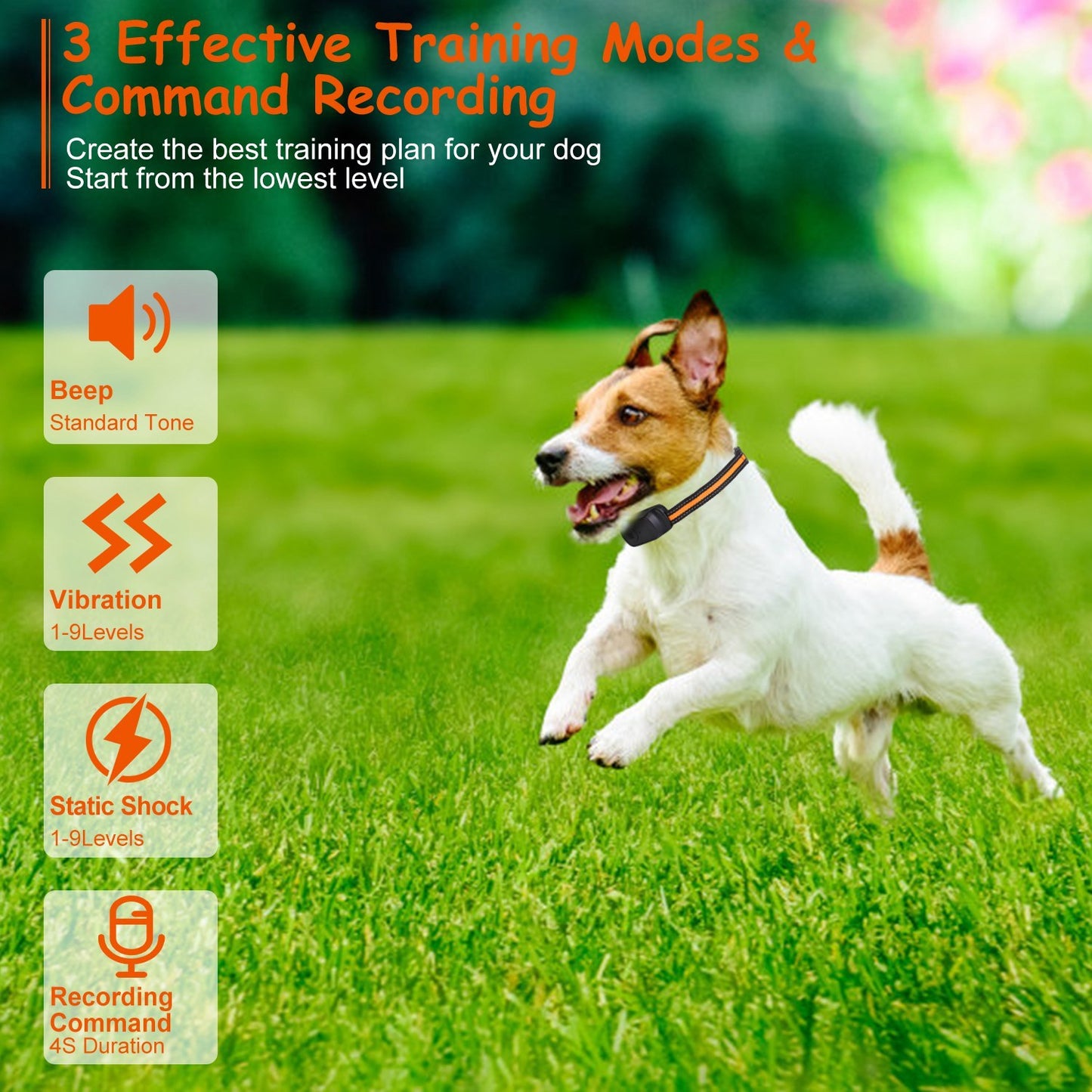 1Pc 984FT Dog Training Collar IP65 Waterproof Pet Beep Vibration Electric Shock Collar 3 Channels Rechargeable Transmitter Receiver Trainer With Recording Safety Keypad Lock - DropOnline.co