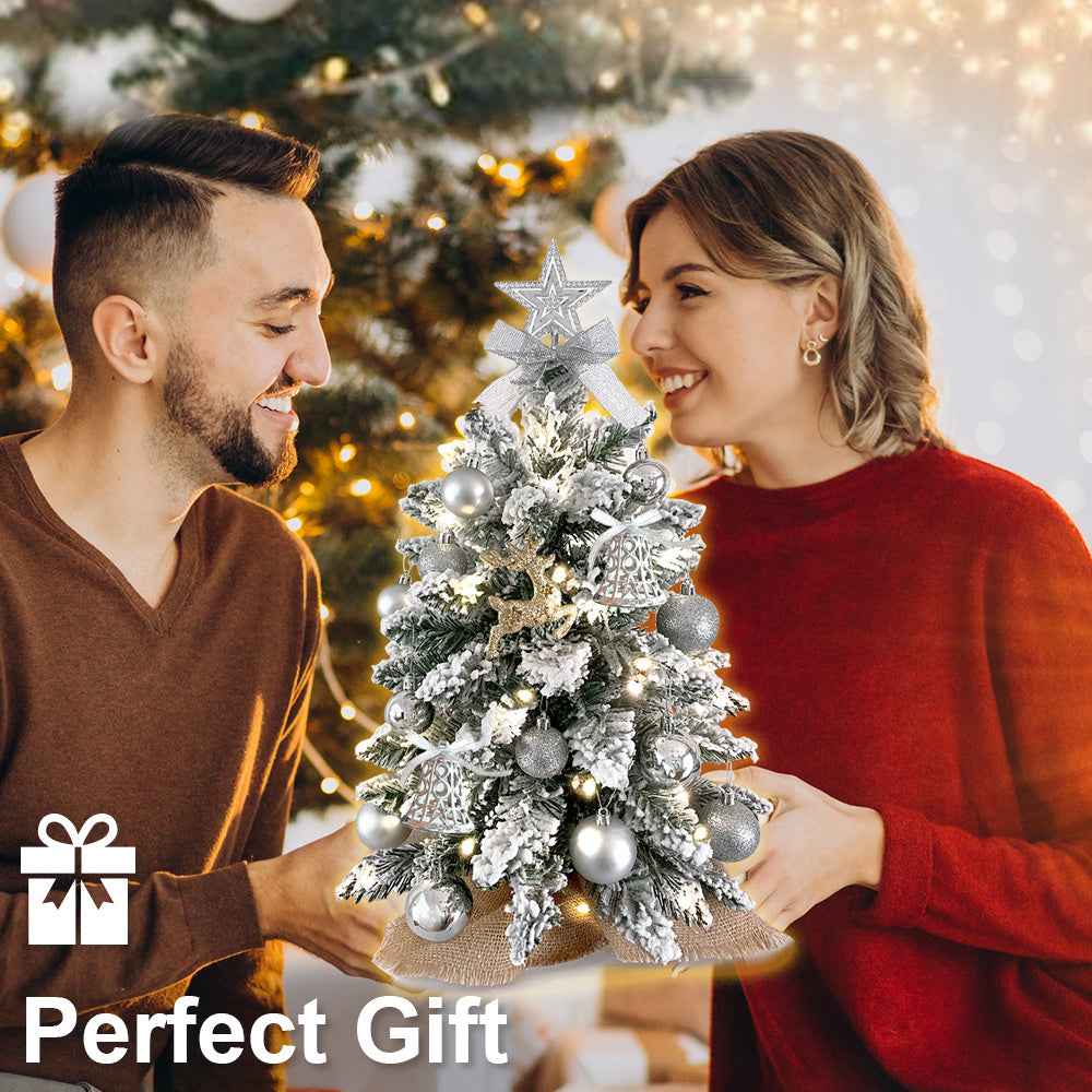 2ft Mini Christmas Tree with Light - Artificial Tabletop with Flocked Snow - DropOnline.co