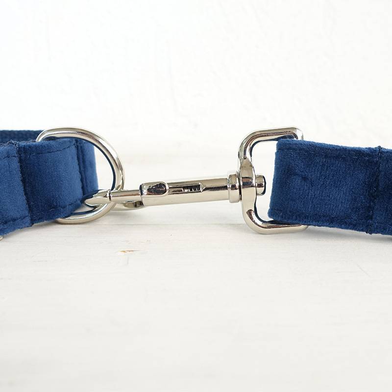 Bow Pet Collar with Leash - Adjustable Dog Chain for Large and Small Dogs with Decorative Bow - DropOnline.co