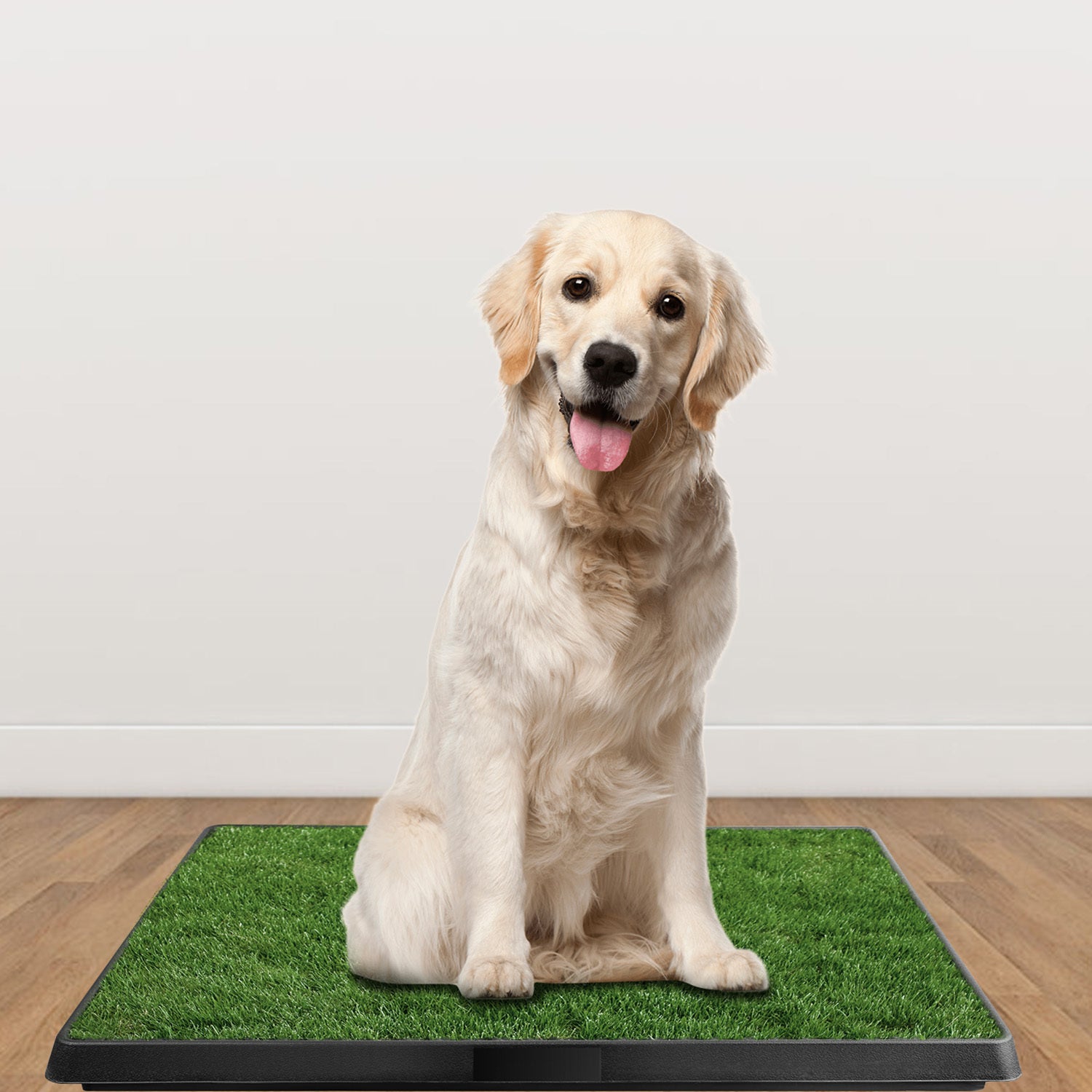 1Pc Dog Potty Training Artificial Grass Pad Pet Cat Toilet Trainer Mat Puppy Loo Tray Turf For Small Medium Dogs Indoor Outdoor Use - DropOnline.co