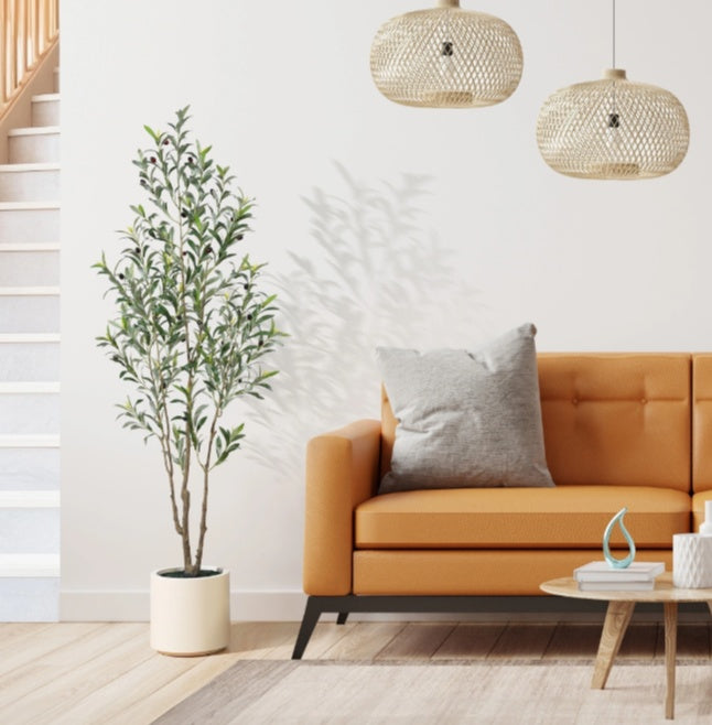 Simple Style Olive Tree - DropOnline.co