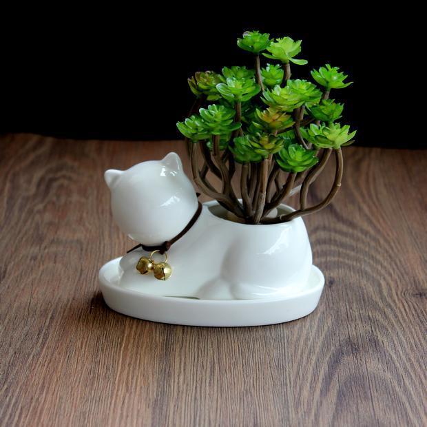 1pc Cartoon Cat Ceramic Planter for Succulents Desktop Succulents pot Decorative Mini Flower Pot Home Garden Decor - DropOnline.co