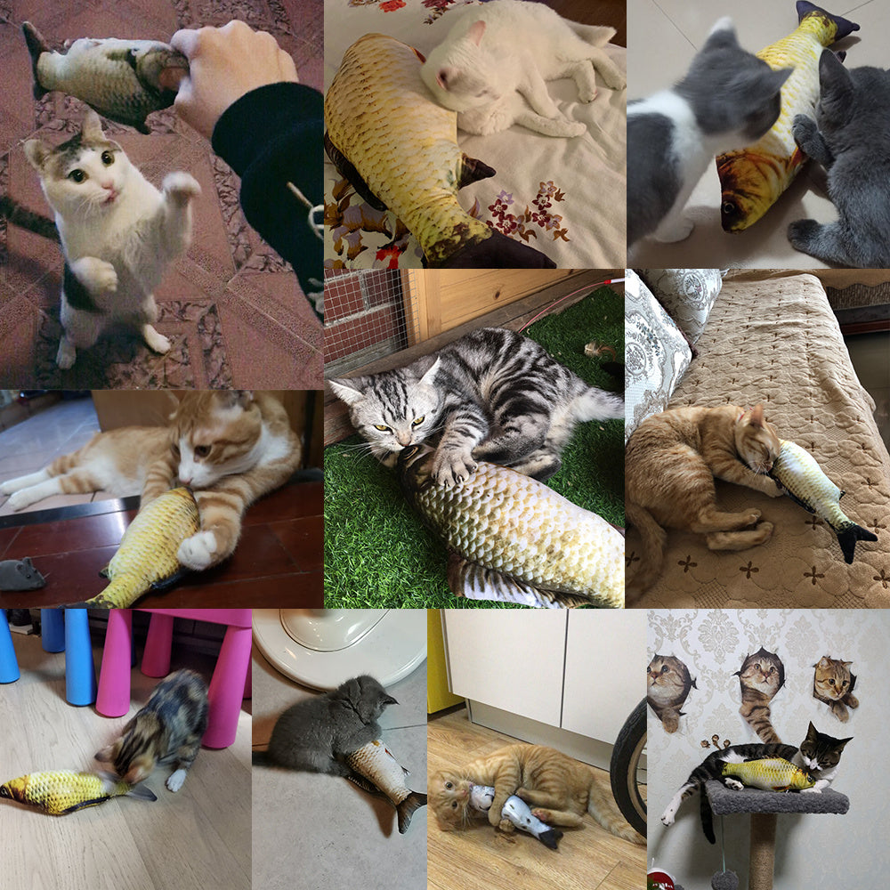 Without Cat Nip Version - Electric Jumping Fish Simulation Electric Fish Toy - DropOnline.co