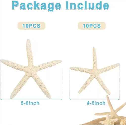 20 PCS Natural Real Starfish - 2-4 Inch & 4-6 Inch for DIY Crafts Wedding Beach - DropOnline.co