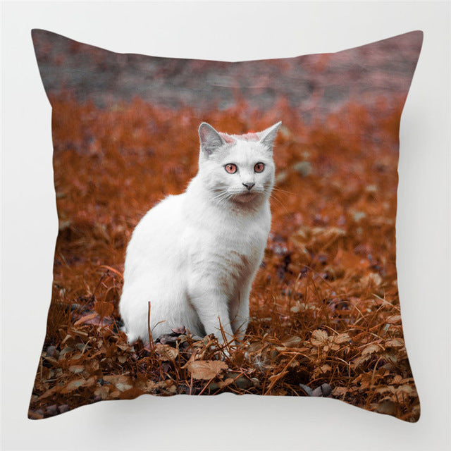 Hairless Pillowcase Home Sofa Cushion Cover - Smooth Decorative Throw Pillow Case - DropOnline.co