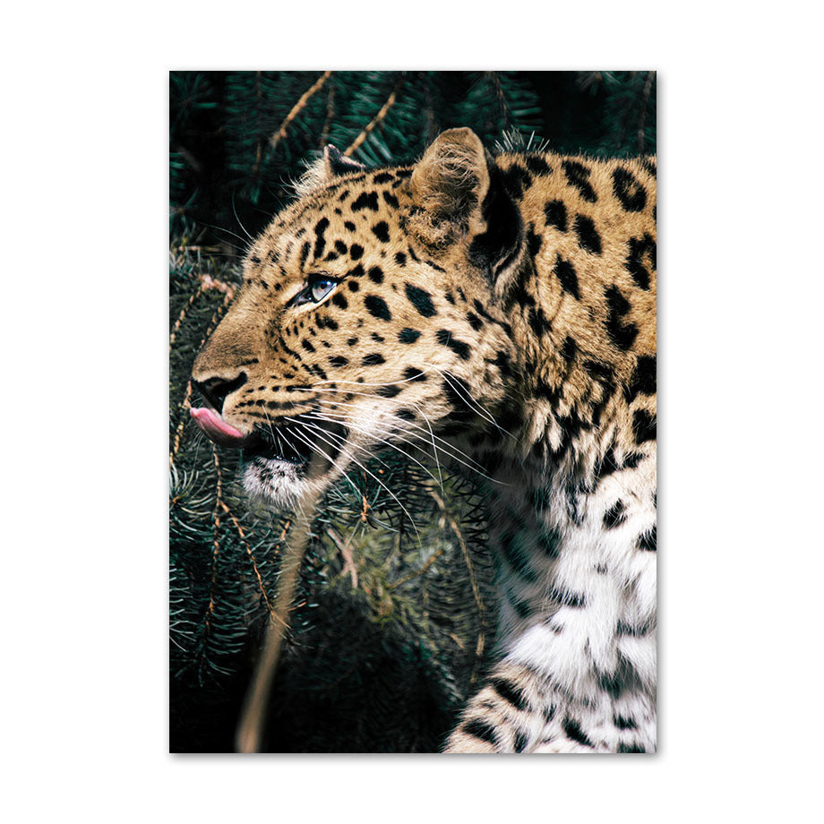 Square Round Embroidery Animal Mosaic Home Decor Diamond Art New Arrival - DropOnline.co