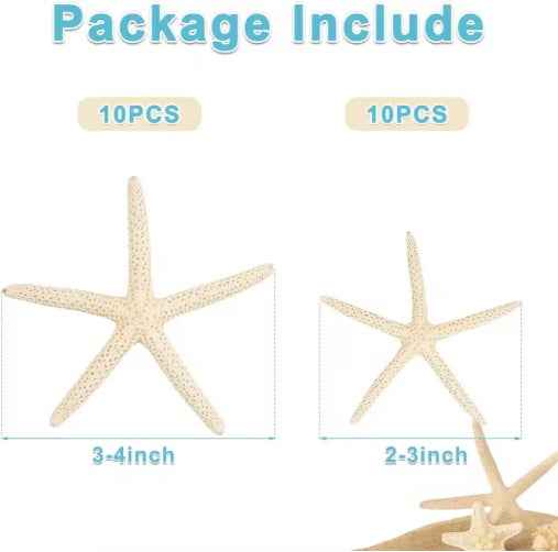 20 PCS Natural Real Starfish - 2-4 Inch & 4-6 Inch for DIY Crafts Wedding Beach - DropOnline.co
