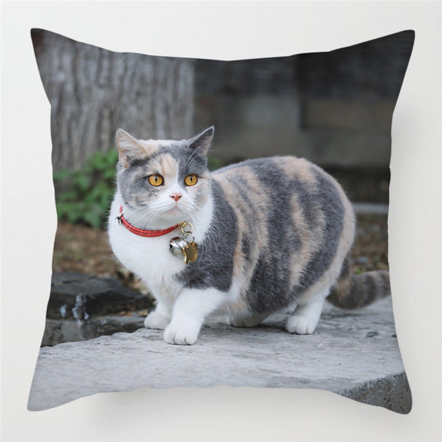 Hairless Pillowcase Home Sofa Cushion Cover - Smooth Decorative Throw Pillow Case - DropOnline.co