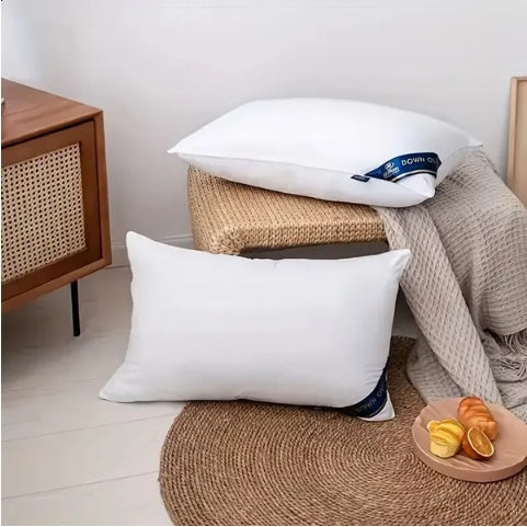 Bed Pillows Blue 1pack - DropOnline.co