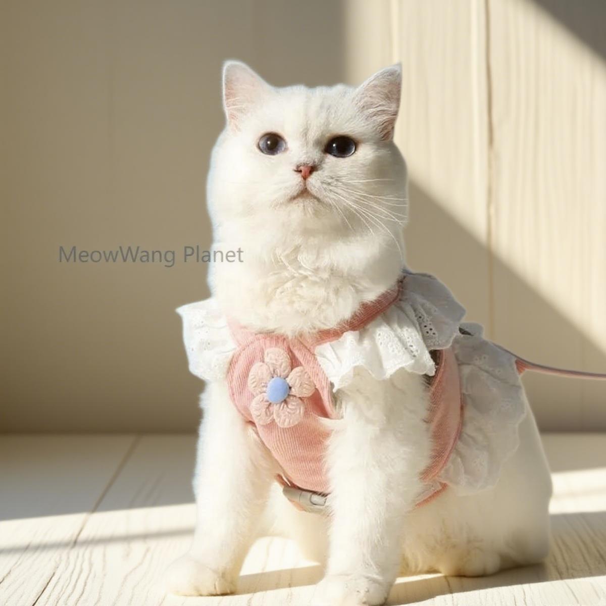 Dog Leash Cat Leash Premium Summer Pet Harness Leash Set Breathable Lightweight And Escape Proof Vest For Cats Small Dogs Adjustable Outdoor Walking Gear With Secure Leash Attachment Luxury Pet Gift F - DropOnline.co