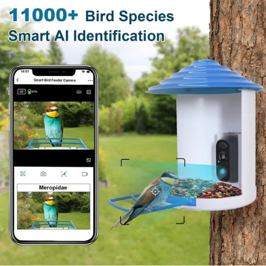 Smart Bird Feeder With Solar Powered Camera 1080P HD AI Identify PIR Motion Auto Capture Video Cloud Card Storage WiFi Connection App Control IP65 Waterproof - DropOnline.co