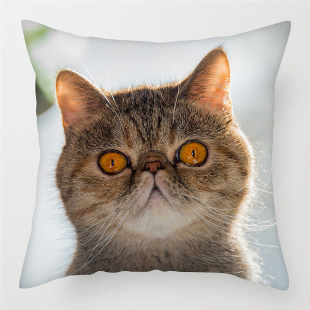 Hairless Pillowcase Home Sofa Cushion Cover - Smooth Decorative Throw Pillow Case - DropOnline.co