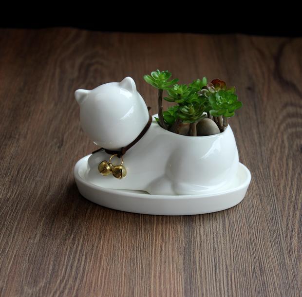 1pc Cartoon Cat Ceramic Planter for Succulents Desktop Succulents pot Decorative Mini Flower Pot Home Garden Decor - DropOnline.co