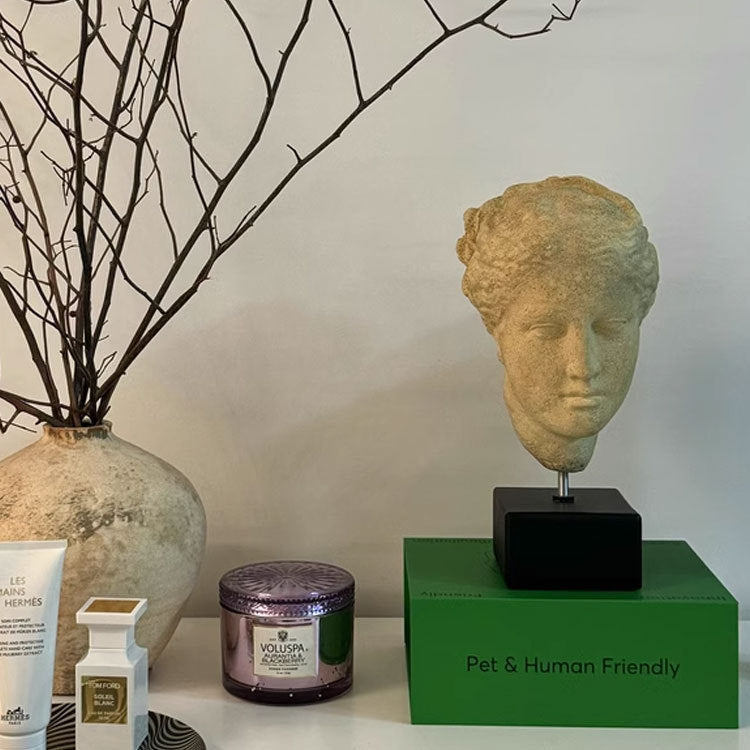 Medieval Light Luxury Art Portrait Sculpture Ornament - DropOnline.co