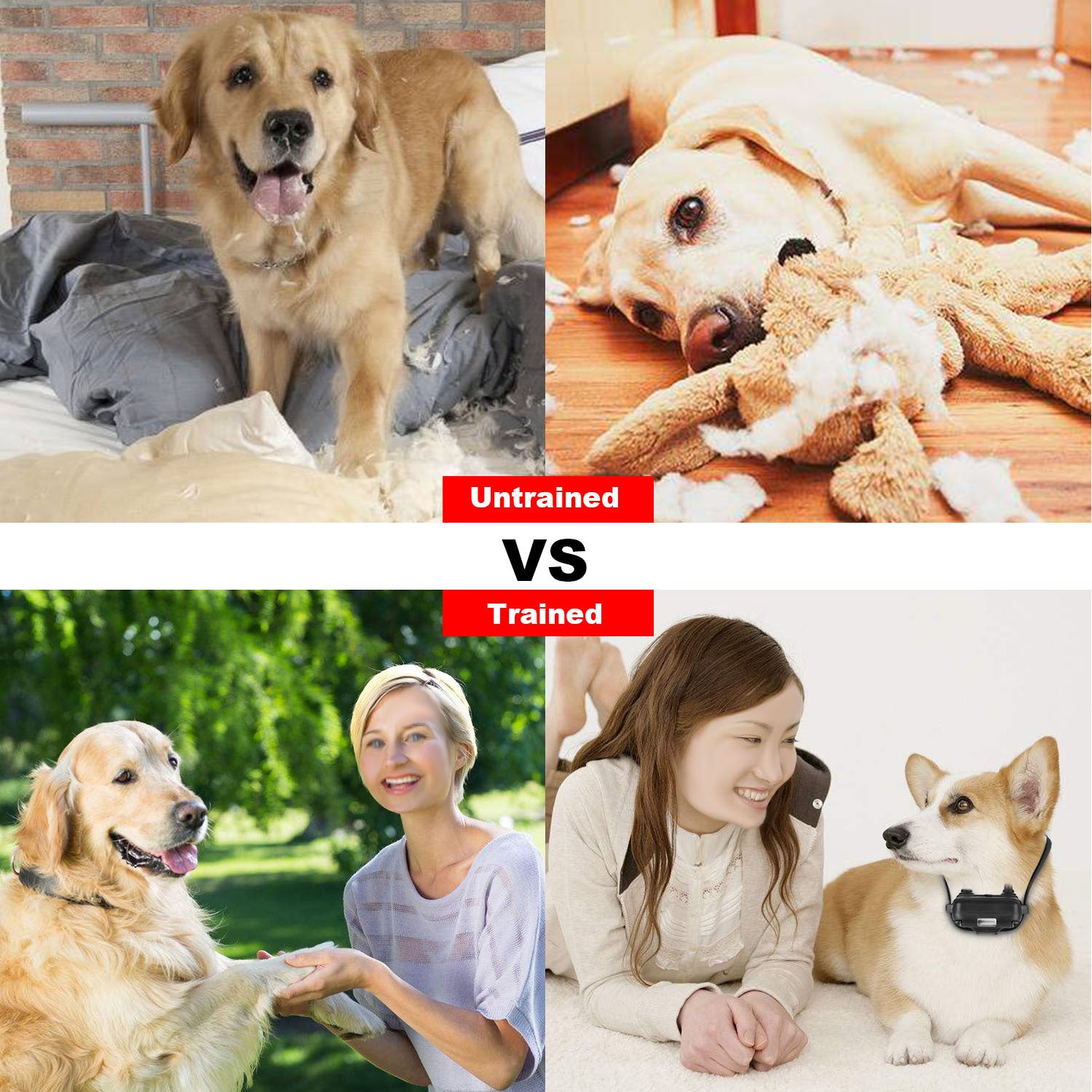 1Pc Dog Training Collar With Remote  IP67 Waterproof Pet Trainer 300mAh Rechargeable 875 Yard Remote Control 4 Modes Adjustable Level - DropOnline.co