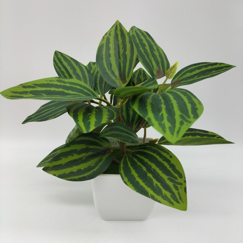 Living Room Home Decoration Ornaments Bonsai Decoration - DropOnline.co