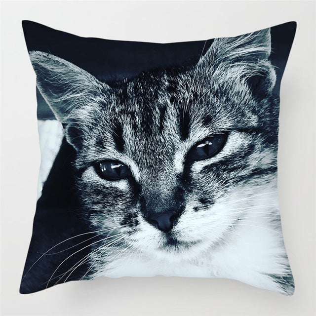 Hairless Pillowcase Home Sofa Cushion Cover - Smooth Decorative Throw Pillow Case - DropOnline.co