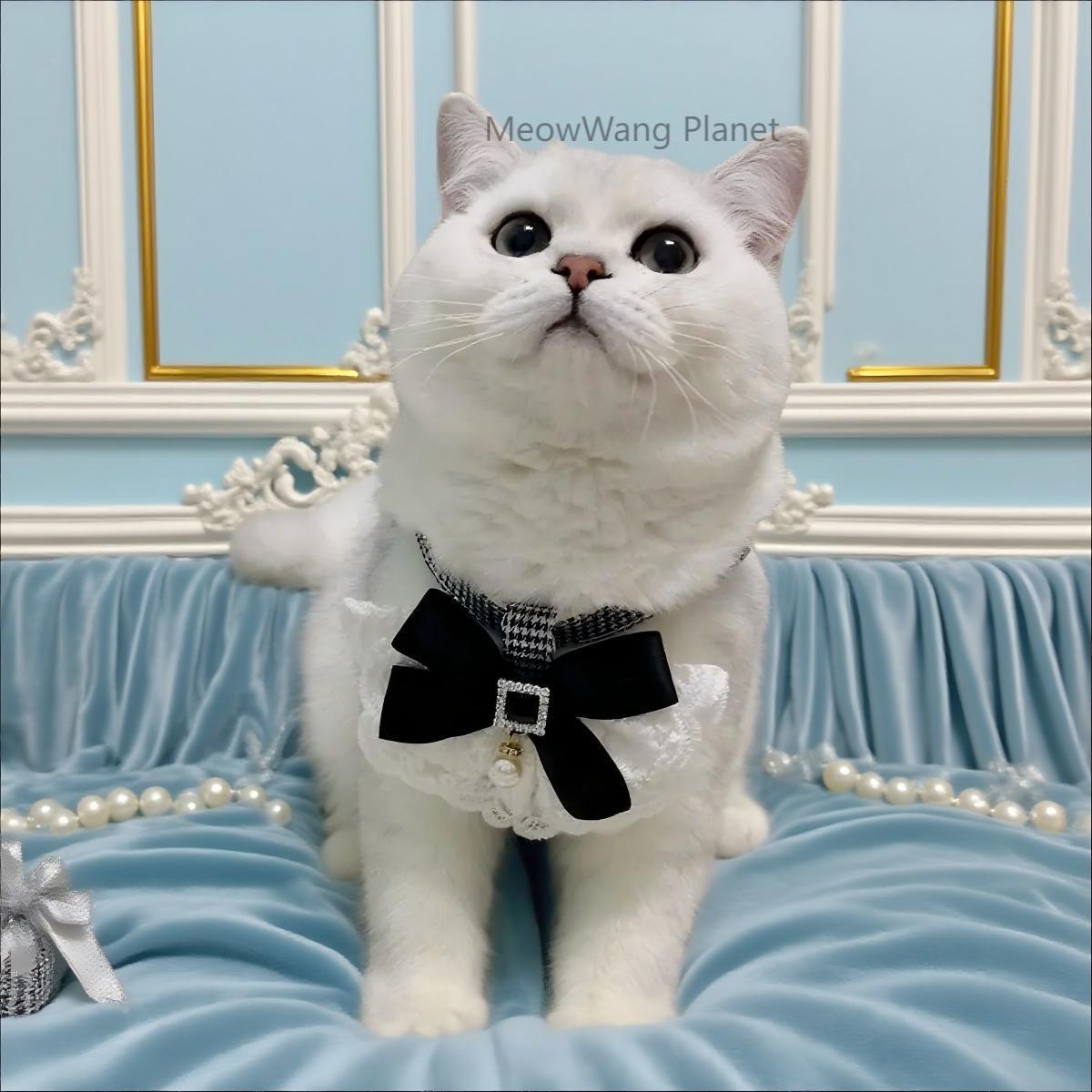 Dog Leash Cat Leash Luxury Lace Pet Harness Leash Set Elegant Inspired Adjustable Escape Proof Vest For Cats Small Dogs - DropOnline.co