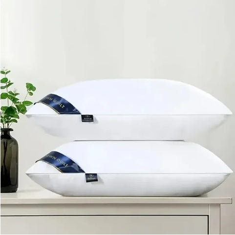 Bed Pillows Blue 1pack - DropOnline.co