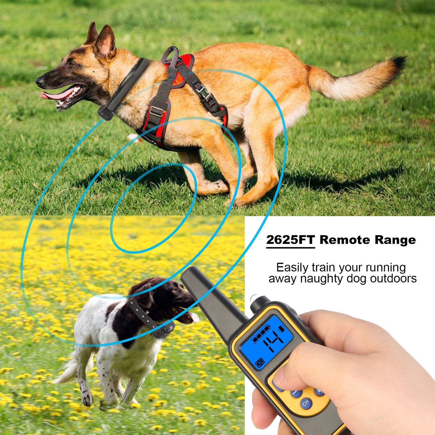 1Pc Dog Training Collar With Remote  IP67 Waterproof Pet Trainer 300mAh Rechargeable 875 Yard Remote Control 4 Modes Adjustable Level - DropOnline.co