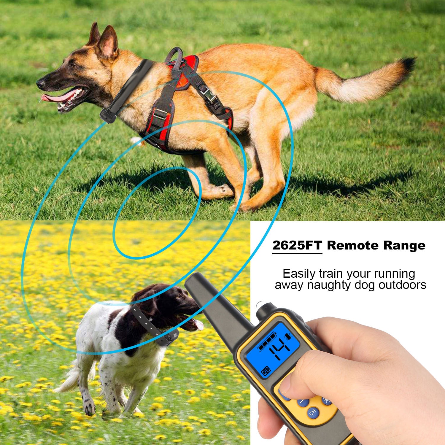 1Pc Dog Training Collar With Remote  IP67 Waterproof Pet Trainer 300mAh Rechargeable 875 Yard Remote Control 4 Modes Adjustable Level - DropOnline.co