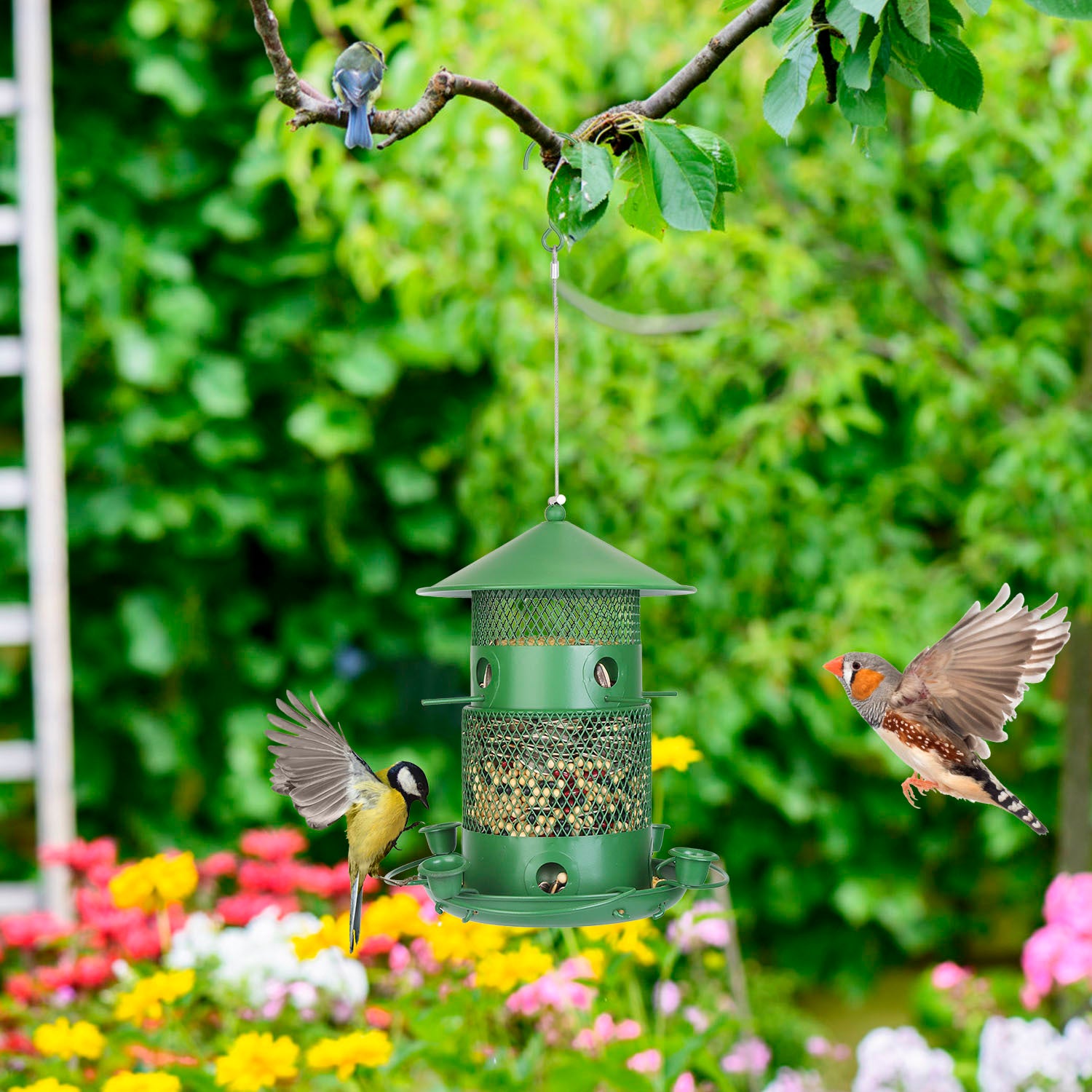 1Pc Wild Bird Feeder Squirrel-Proof Chew-Proof Metal Bird Seed Feeder Outdoor Hanging Bird Feeder With 360 Degree Circular Perches Water Cups For Yard Garden Patio - DropOnline.co