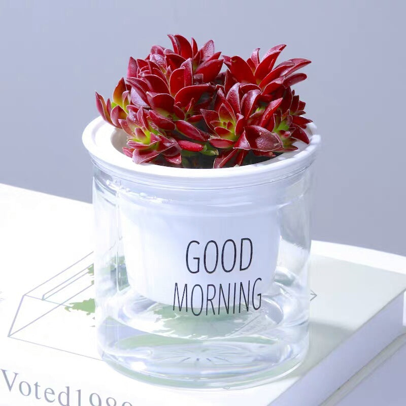 Double Tier Hydroponic Epipremnum Aureum Self-watering Flowerpot Home Decor Double Tier Visual Water Level Flowerpot - DropOnline.co