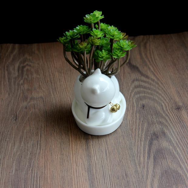 1pc Cartoon Cat Ceramic Planter for Succulents Desktop Succulents pot Decorative Mini Flower Pot Home Garden Decor - DropOnline.co