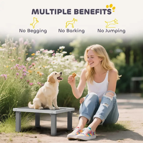 Wooden Dog Training Place Board, Dog Training Platform With Ladder, Pet Agility System For Indoor Outdoor - DropOnline.co