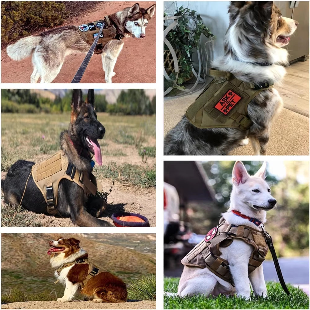 Pet Harness Luxury Dog Leash Set Chest Dog  Nylon Camouflage Dog Harness - DropOnline.co