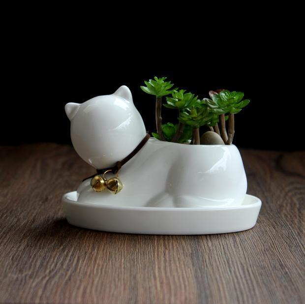 1pc Cartoon Cat Ceramic Planter for Succulents Desktop Succulents pot Decorative Mini Flower Pot Home Garden Decor - DropOnline.co