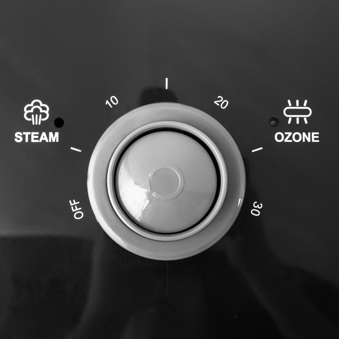 ABS Shell, PC Water Cup, Single Hot Spray, Detachable Nozzle, Cross Iron Foot, Black, Sprayer 110V - DropOnline.co