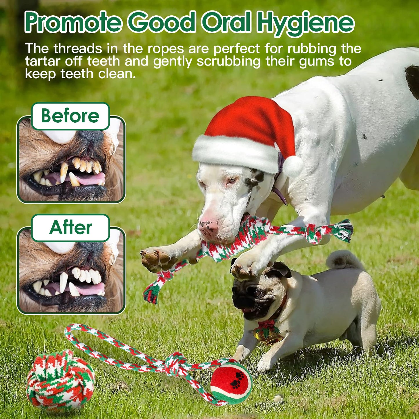 Set Of 5Pcs Christmas Dog Rope Chew Toys Dog Interactive Toys Set For Puppy Small Medium Aggressive Chewers Dogs Training Teething Playing - DropOnline.co