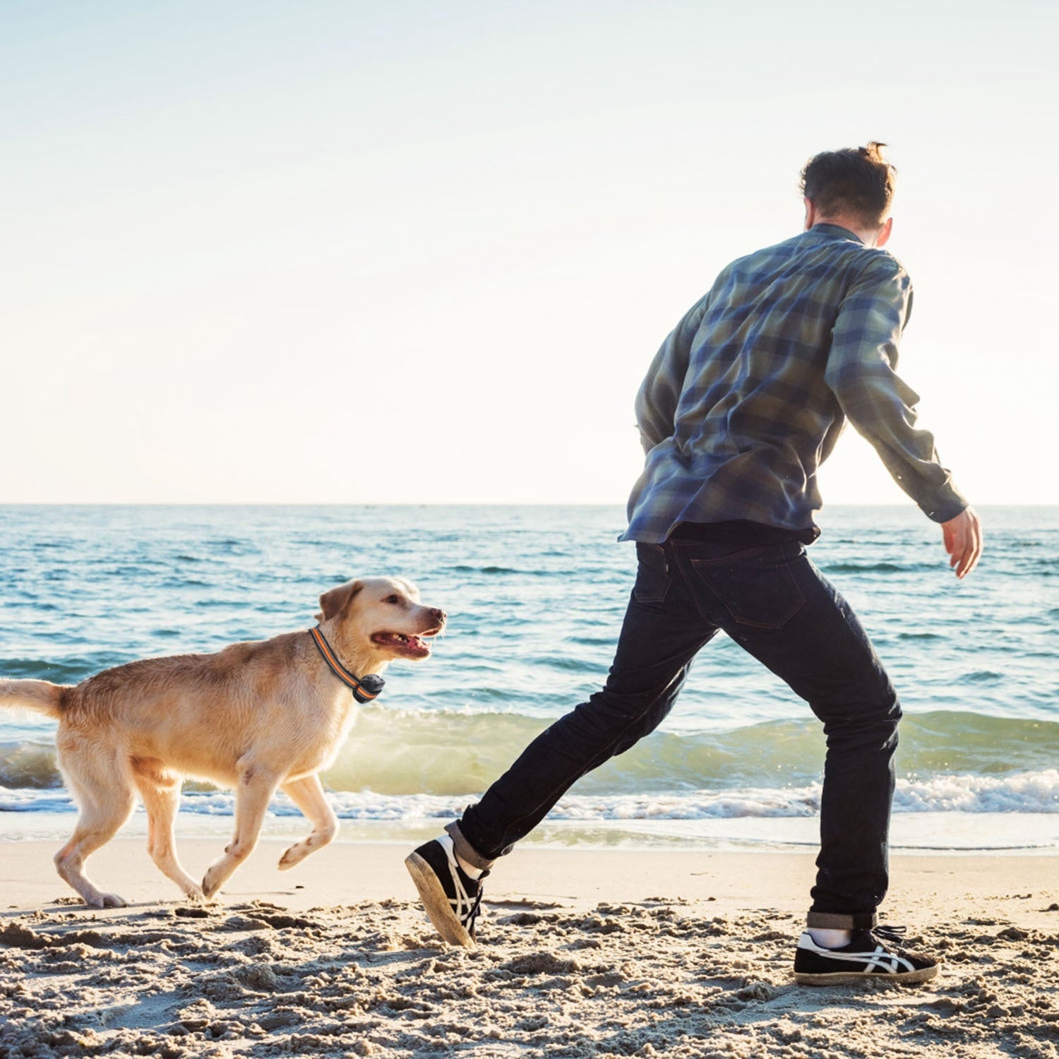 2 In 1 Dog GPS Fence Tracker Wireless GPS Dog Fence GPS Dog Collar With 32-2887FT Radius IPX6 Waterproof For Small Medium Large Dogs - DropOnline.co