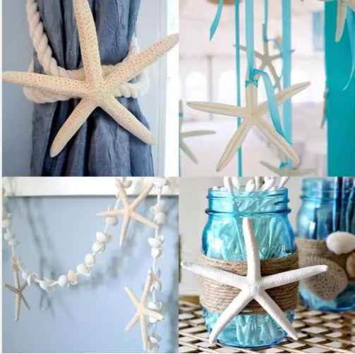 20 PCS Natural Real Starfish - 2-4 Inch & 4-6 Inch for DIY Crafts Wedding Beach - DropOnline.co
