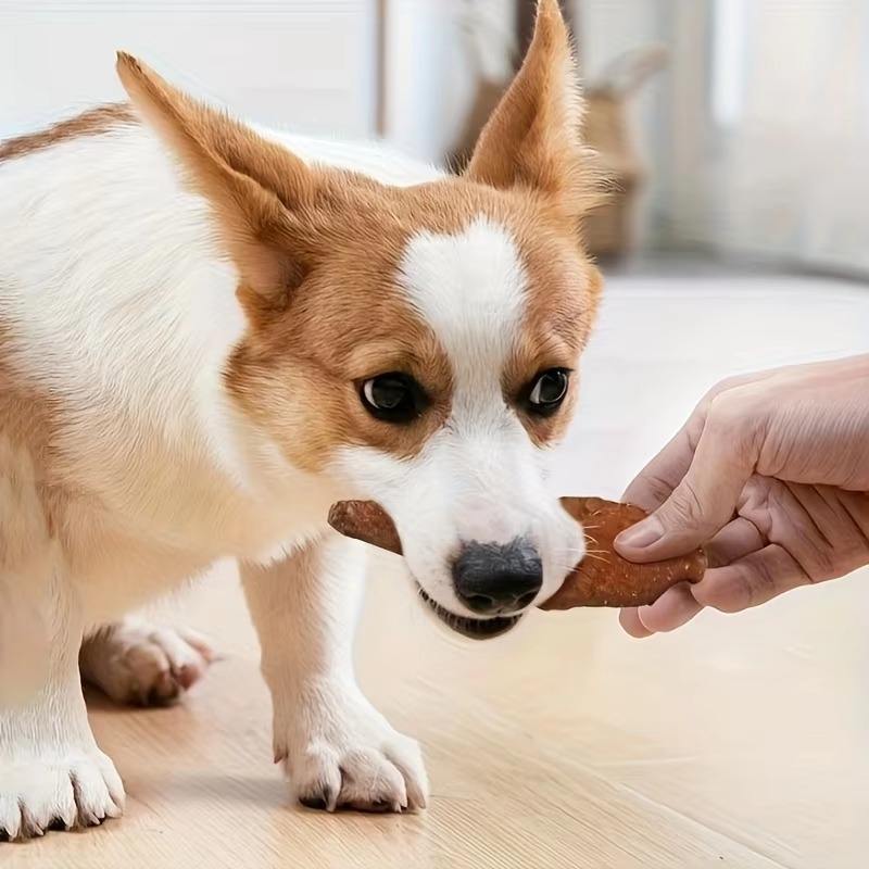 Pet-shaped Chik Chicken Wrapped In Rawhide Chewy Natural Meat Snack For Dogs Suitable For All Sizes. - DropOnline.co