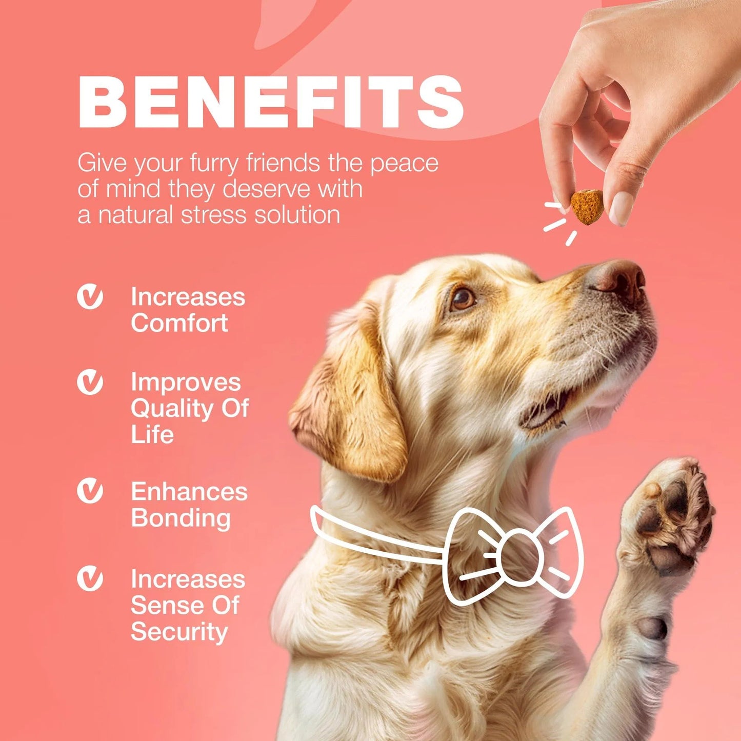 Dog Flea And Tick Treatment Chews FleaTick Prevention For Dogs Chewables Natural Dog Flea & Tick Control Soft Treats Immune Support Supplement - DropOnline.co