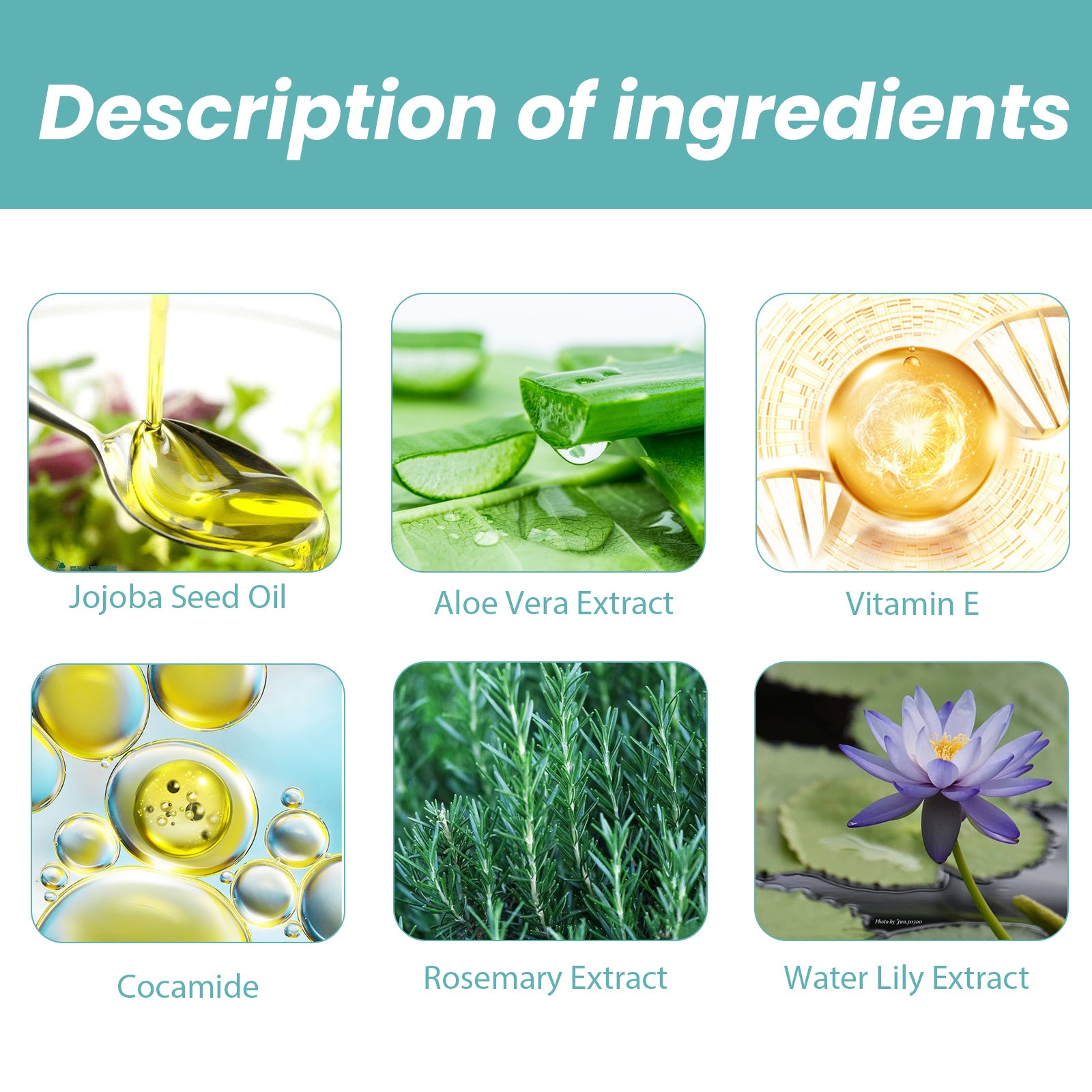 EELHOE Shower Oil Body Cleansing Repairing Skin Moisturizing Lubricating Skin Care Shower Oil - DropOnline.co