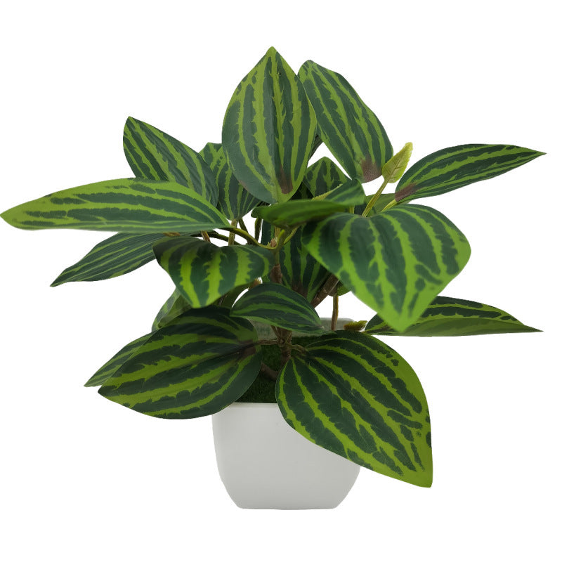 Living Room Home Decoration Ornaments Bonsai Decoration - DropOnline.co