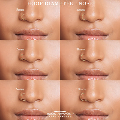 20G CZ Double Row Checkerboard Implant Grade Titanium Nose Hoop