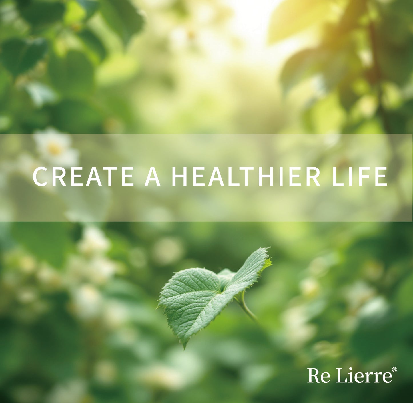 Re Lierre 3-in-1 Nasal Bar - DropOnline.co