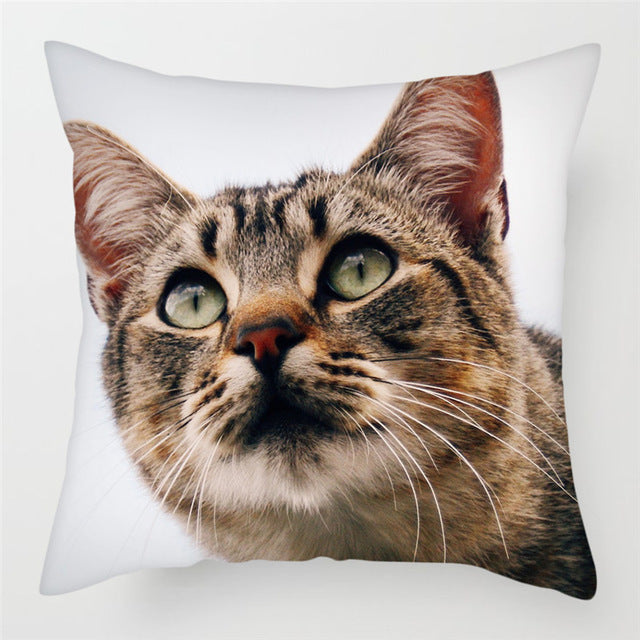 Hairless Pillowcase Home Sofa Cushion Cover - Smooth Decorative Throw Pillow Case - DropOnline.co