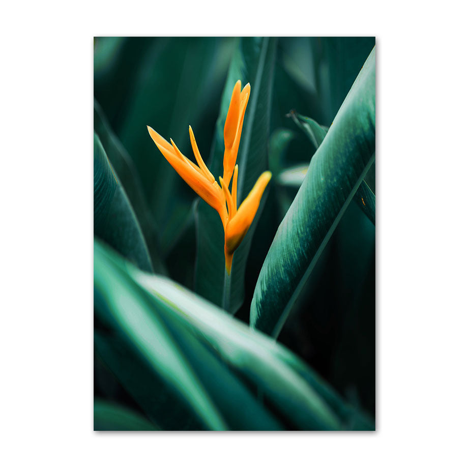 Square Round Embroidery Animal Mosaic Home Decor Diamond Art New Arrival - DropOnline.co