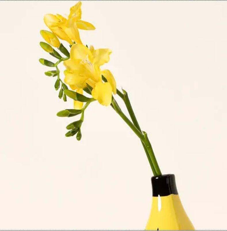 Simple Banana Vase Flower Arrangement Creativity Home Decor - DropOnline.co